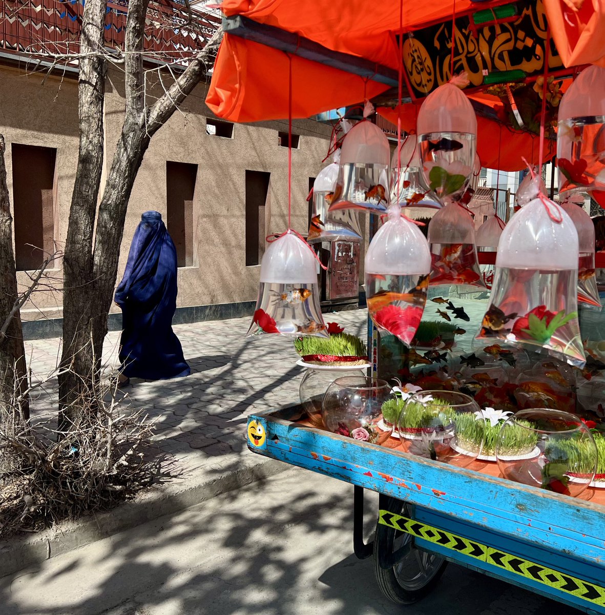 #كابل، چند روز قبل از نوروز…
#افغانستان