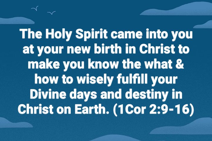 ModiboGodwill's tweet photo. #HolySpirit #Holy #Spirit #new #birth #Christ #know #what #how #wisely #fulfil #divine #days #destiny #earth https://t.co/EJSKMbg7eu
