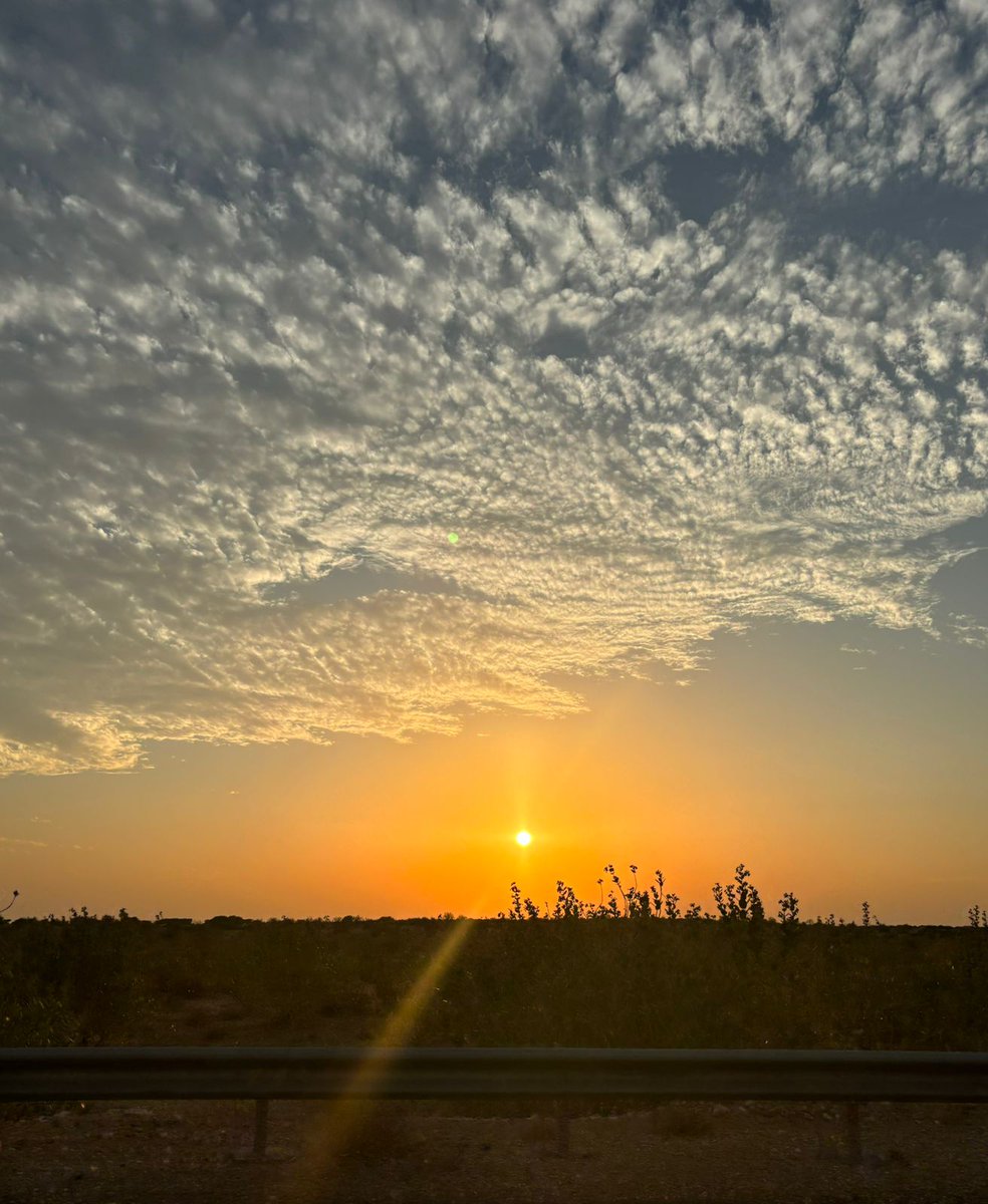 MRY Research Group: Fluoro-Cat Lab tweet media