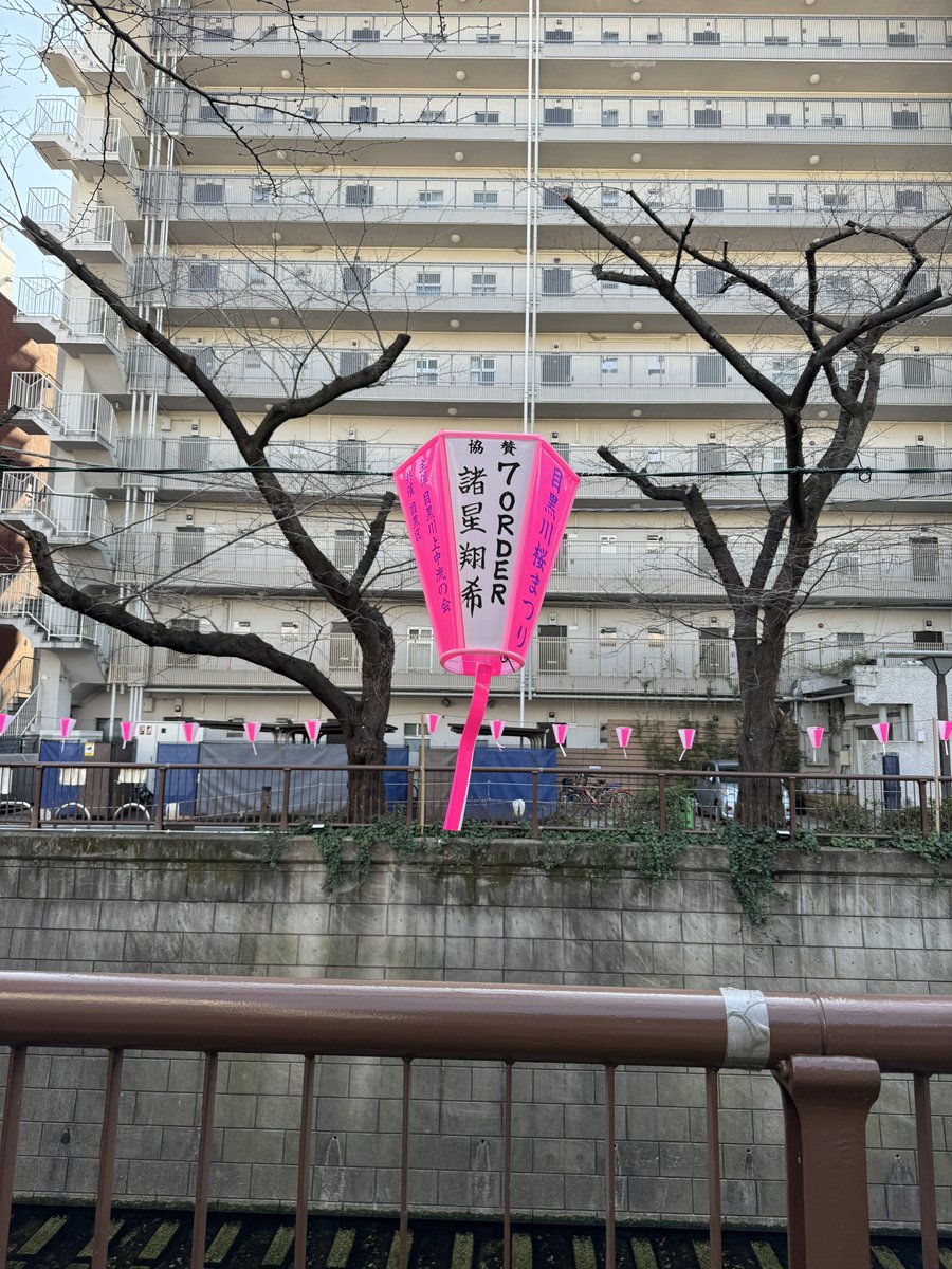 m8A3R35ine's tweet photo. 目黒川桜まつり ぼんぼり

『7ORDER 諸星翔希』

設置期間
3月19日〜3月31日 点灯時間17:00〜20:00

設置場所
📍 https://t.co/hd4QFOCXh0 https://t.co/ubv3RO4IYQ