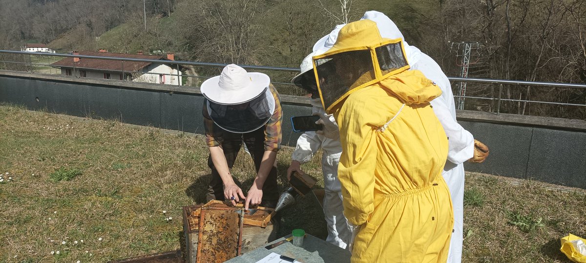 _erbel's tweet photo. Bertan mundu osoko 48 lagun bildu ginen, datorren hiru urteetan proiektuko erleei egin behar dizkiegun jarraipenei buruz ikasteko. https://t.co/Vr3nw8j2kF