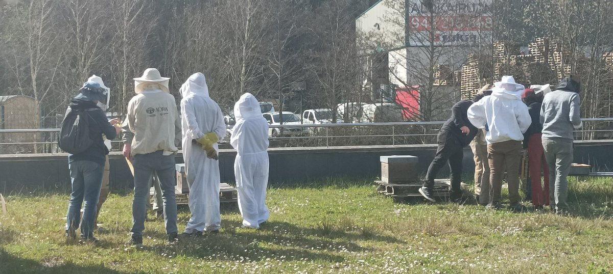 _erbel's tweet photo. Bertan mundu osoko 48 lagun bildu ginen, datorren hiru urteetan proiektuko erleei egin behar dizkiegun jarraipenei buruz ikasteko. https://t.co/Vr3nw8j2kF