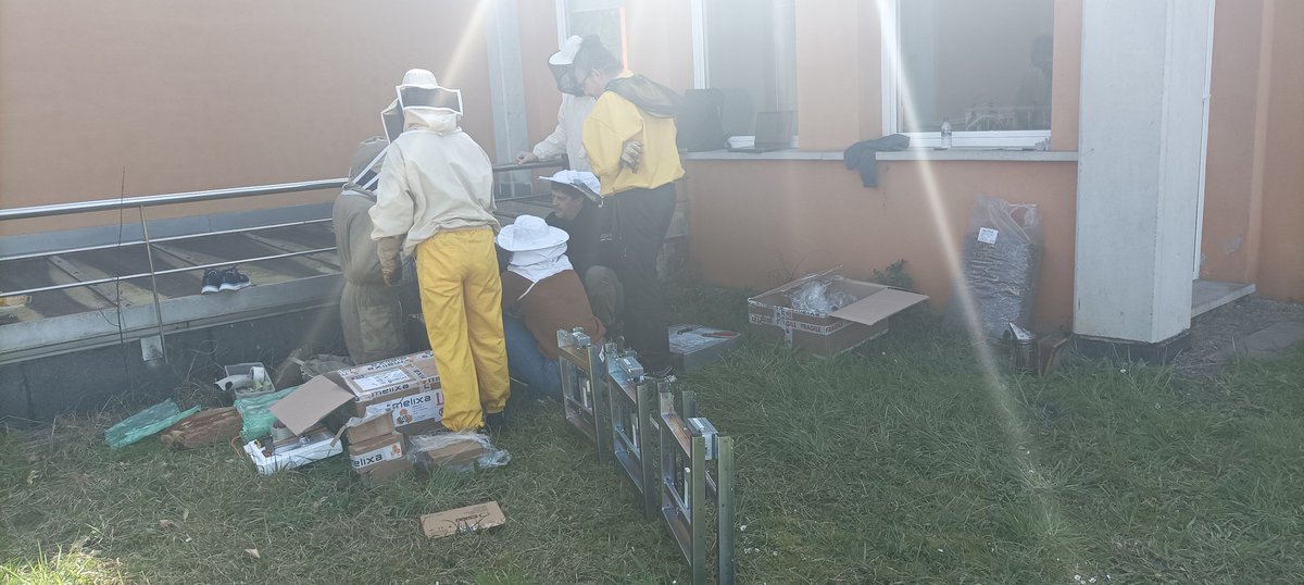 _erbel's tweet photo. Erlezaintza erresiliente bat helburu, erleari buruzko ezagutza handitu nahi da, besteak beste, barroa bizkarroiaren kontrako borroka eraginkorragoa izan dadin. https://t.co/biNvaOPpdV