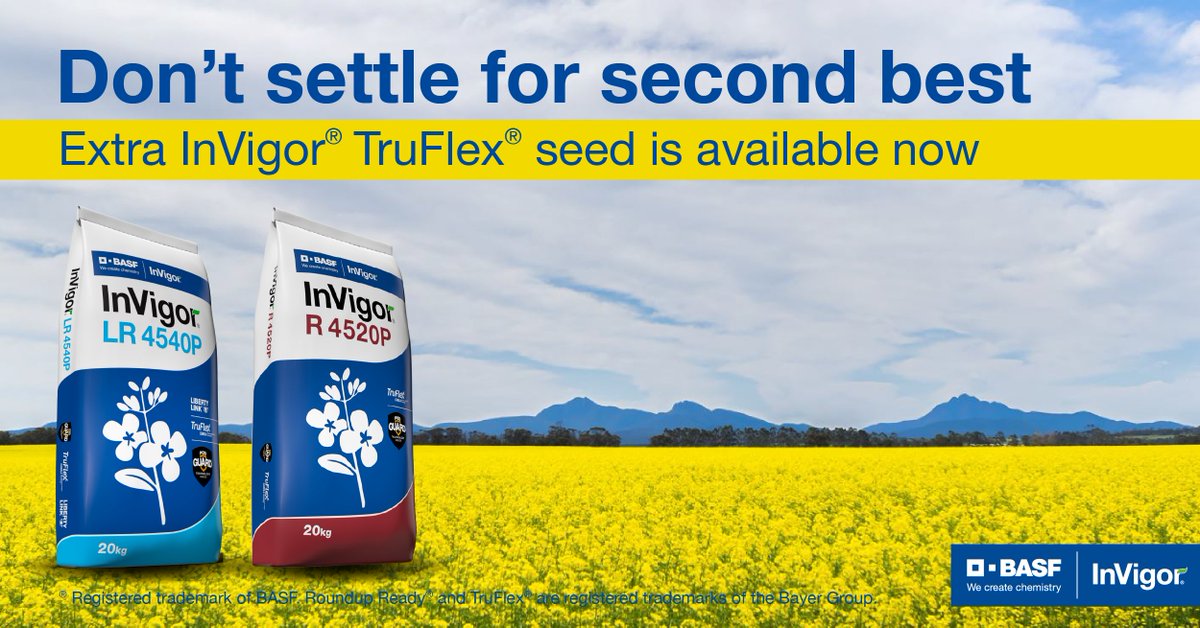 BASF_Agro_Au's tweet photo. Good news about InVigor® canola! Favourable production conditions in 2023 have led to a bigger supply of InVigor TruFlex® seed than expected. Secure your extra 2024 InVigor seed by contacting your local reseller. 

Learn more at https://t.co/ZQkQieN8Uu https://t.co/bVpKGuuuY3