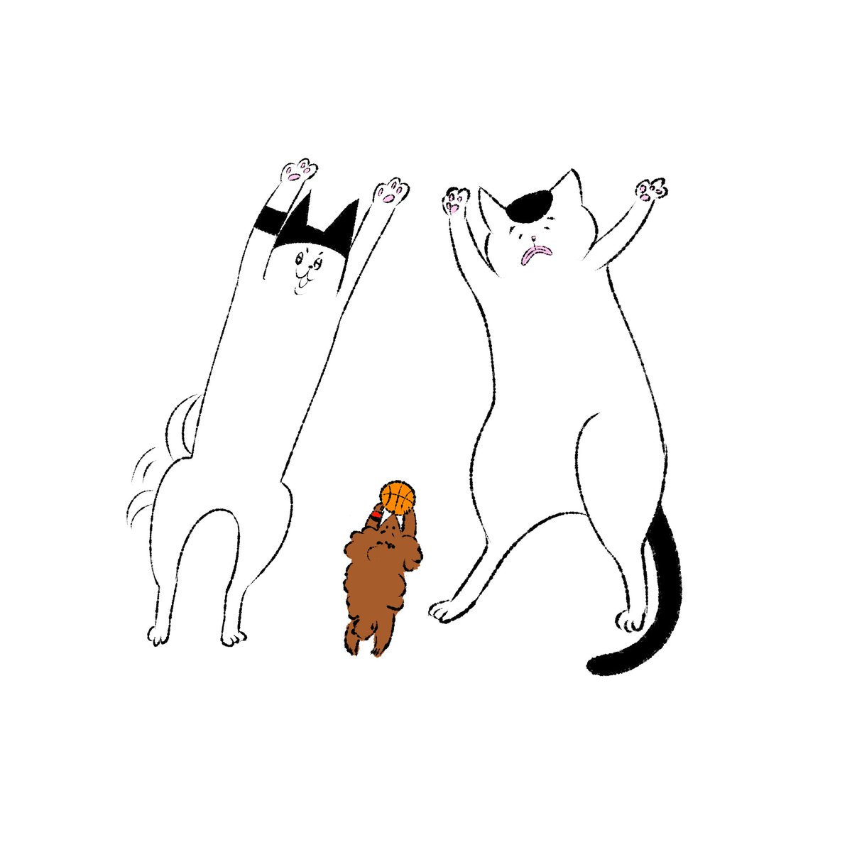 みーみ (@miimi0831) / Posts / X