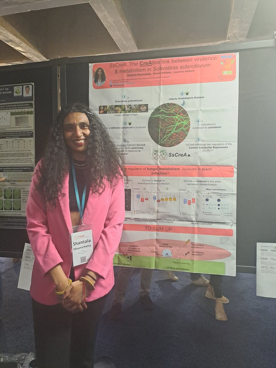 Interested in a Sclerotinia sclerotiorum gene regulator linking metabolism and virulence ? Join me at Poster 695B, 📍Fireside Pavilion ⏰️7pm-10.30 pm. @GeneticsGSA @LIPME_Toulouse @QIPlab @SFP_France #Fungal24