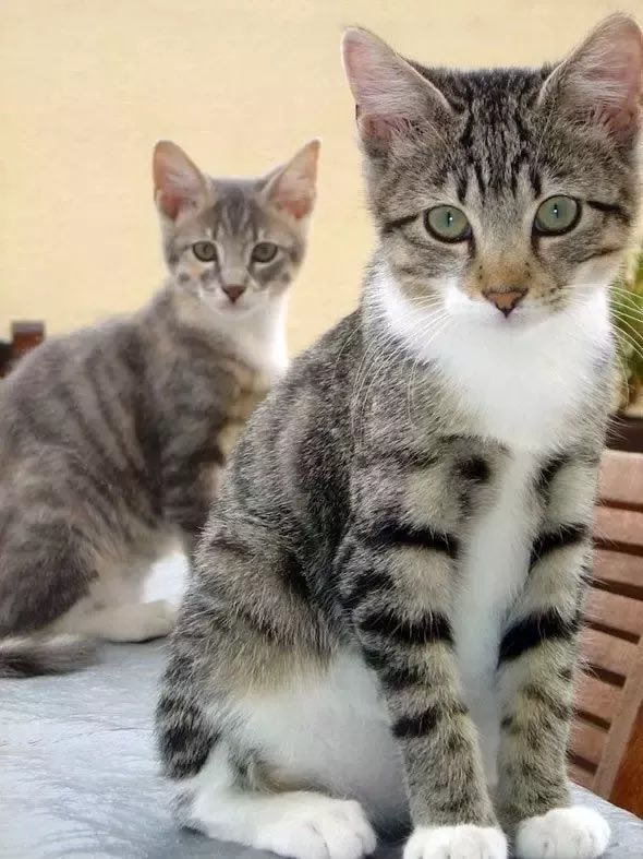 Marie Nassar3 tweet media