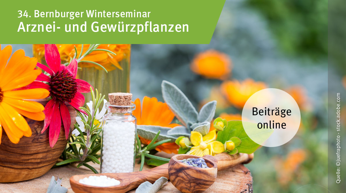 Tagungsbroschüre z. Bernburger Winterseminar Arznei- u. Gewürzpflanzen 2024 jetzt verfügbar:  pflanzen.fnr.de/industriepflan…
Schwerpunkte: Wirkstoffforschung, Autonome Hacktechnik, #Johanniskraut. 
#Hypericin #Hypericum #Arzneipflanzen #Taraxacum #Phytotherapie #Phytopharmaka #Robotik