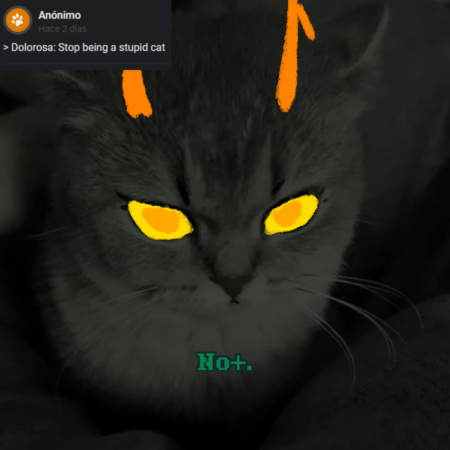 DolorosaPosting's tweet photo. https://t.co/8bNjBv4aCe
