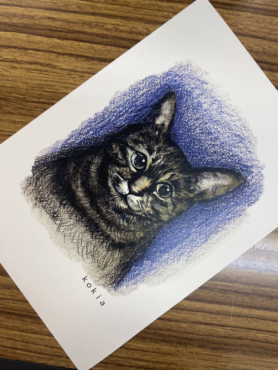 kokia0531's tweet photo. みんなのねこ展
2.22〜3.4までやっておりました。こちらにアップし忘れてました🙇。現在は　
#門前仲町　にある　#下町カフェ　
#itoule 様にて　#ねこの絵　の原画とポストカード、ポーチ、複製画（キャンバス）も置かせていただいています。珈琲やビール飲みながら絵を眺めてくださったら嬉しいです https://t.co/0oGZEB9H8K