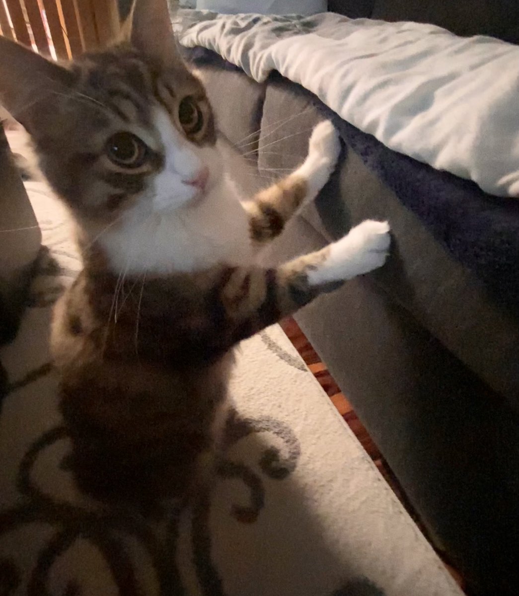 could u imagine being born in 2023 that’s so embarrassing he’s a 0 year old