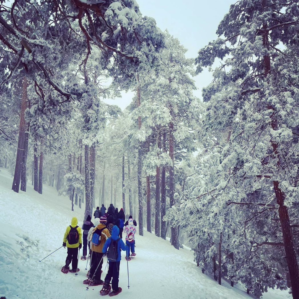 IES San Juan Bautista (@ies_sjb) on Twitter photo Actividad con raquetas en la nieve organizada por el Deparatamento de Educación Física. Actividad con raquetas en la nieve organizada por el Deparatamento de Educación Física.