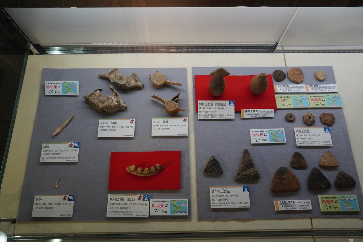 kitanojomon's tweet photo. 【北の縄文展2023in北斗市　バーチャルツアー】
洞爺湖町入江貝塚のコーナーでは、環状土製品にご注目ください。かなり限られた時期に少量作られた用途不明の道具で、入江貝塚でみつか��たものの隣に北斗市村前ノ沢遺跡でみつかったものを並べています。 https://t.co/MorfgeckoG
