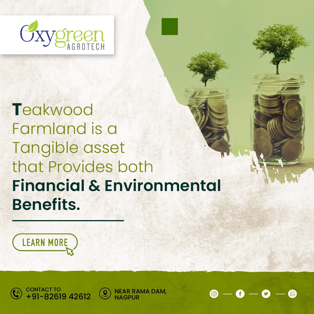 OxygreenAgrotec's tweet image. Experience the richness of teakwood farmland—a tangible asset offering both financial prosperity and environmental preservation.
Invest wisely, reap abundantly. 📷
#TeakwoodFarmland #TangibleAsset #FinancialBenefit #EnvironmentalBenefits #SustainableInvestment #wealthcreation