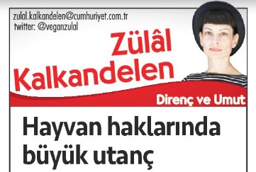 HAYVAN HAKLARINI YOK SAYANLARA OY YOK! Salı günü Ankara'da bir hayvan tecavüzcüsü daha serbest kaldı! Kedi Eros'u hunharca öldüren katil tutuklanmadı! Şimdi anladınız mı... Neden hayvana tecavüz edenlere ve katledenler için yasada belirlenen cezanın yetersiz olduğunu…