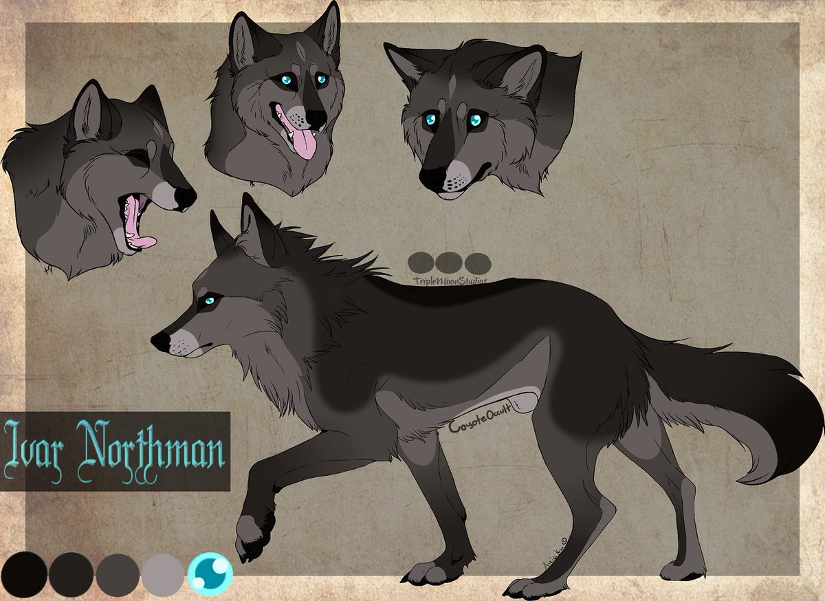 CoyoteOccult's tweet photo. ┌── ❄️⋅🐺⋅❄️ ──┐

📜ℑ𝔳𝔞𝔯 𝔑𝔬𝔯𝔱𝔥𝔪𝔞𝔫
☄️ᴡᴇʀᴇᴡᴏʟꜰ/ᴡᴏʟꜰ
💍𝓣𝓸𝓿𝓪 - @TheCrystalThief 
🐺ᴘᴀᴄᴋ: ᴡᴏᴠᴇɴ ᴜɴɪᴛʏ/ʟᴜɴᴀʀ ꜱʜᴏʀᴇ

└── ❄️⋅🐺⋅❄️ ──┘

Credits:
Auiaku, Trashking, Kibiscas &amp; Shimmer-Shy https://t.co/MgGOHPtdO1
