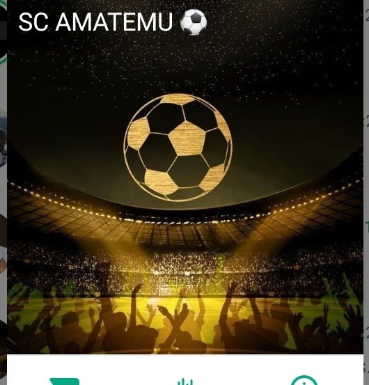 BUBZ League tweet media