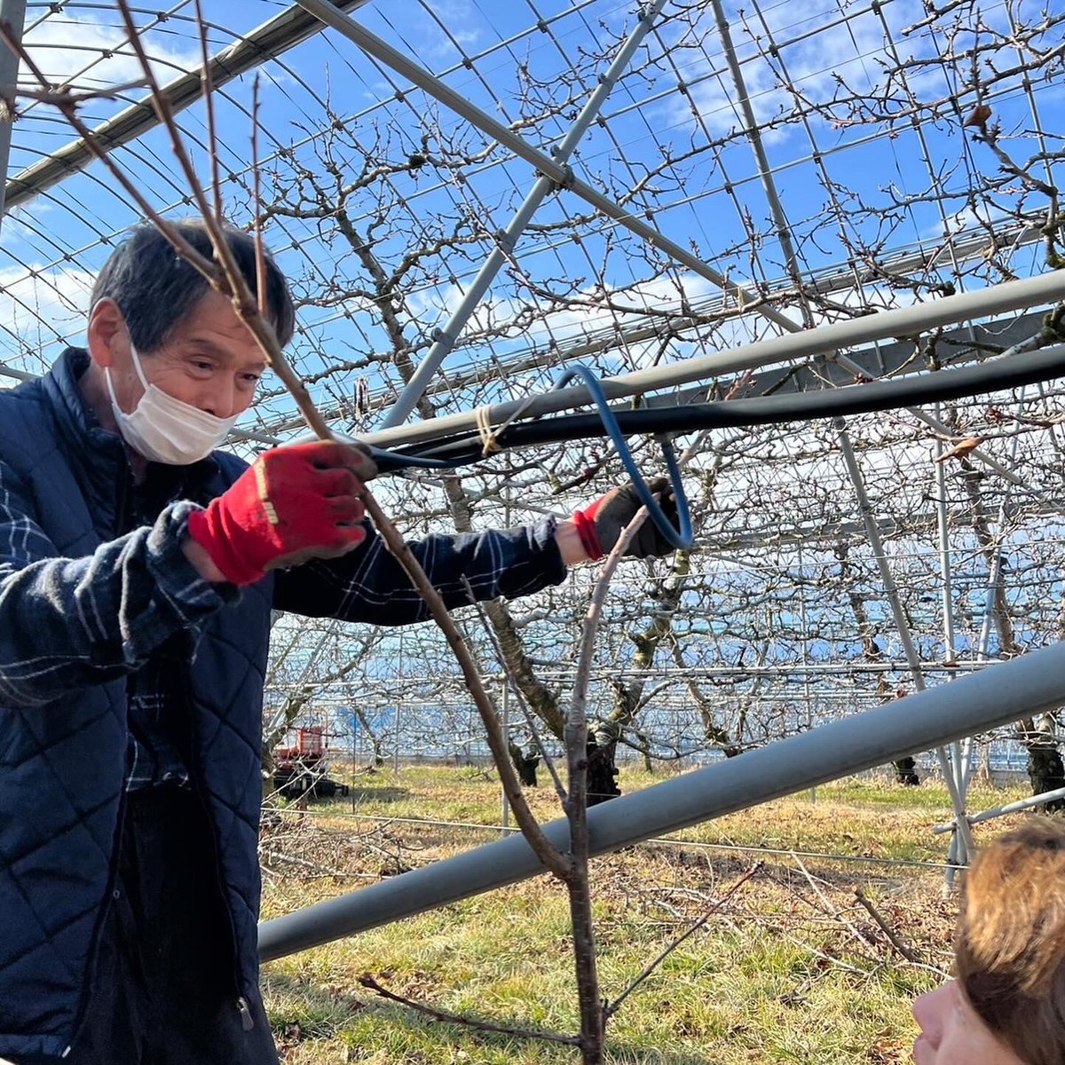 Scoop_Field's tweet photo. さくらんぼの新植🍒
近隣の猿も様子見に…🐒笑
今年も美味しいさくらんぼが実るように頑張ります！🫡✨ https://t.co/nfjAilSWGx