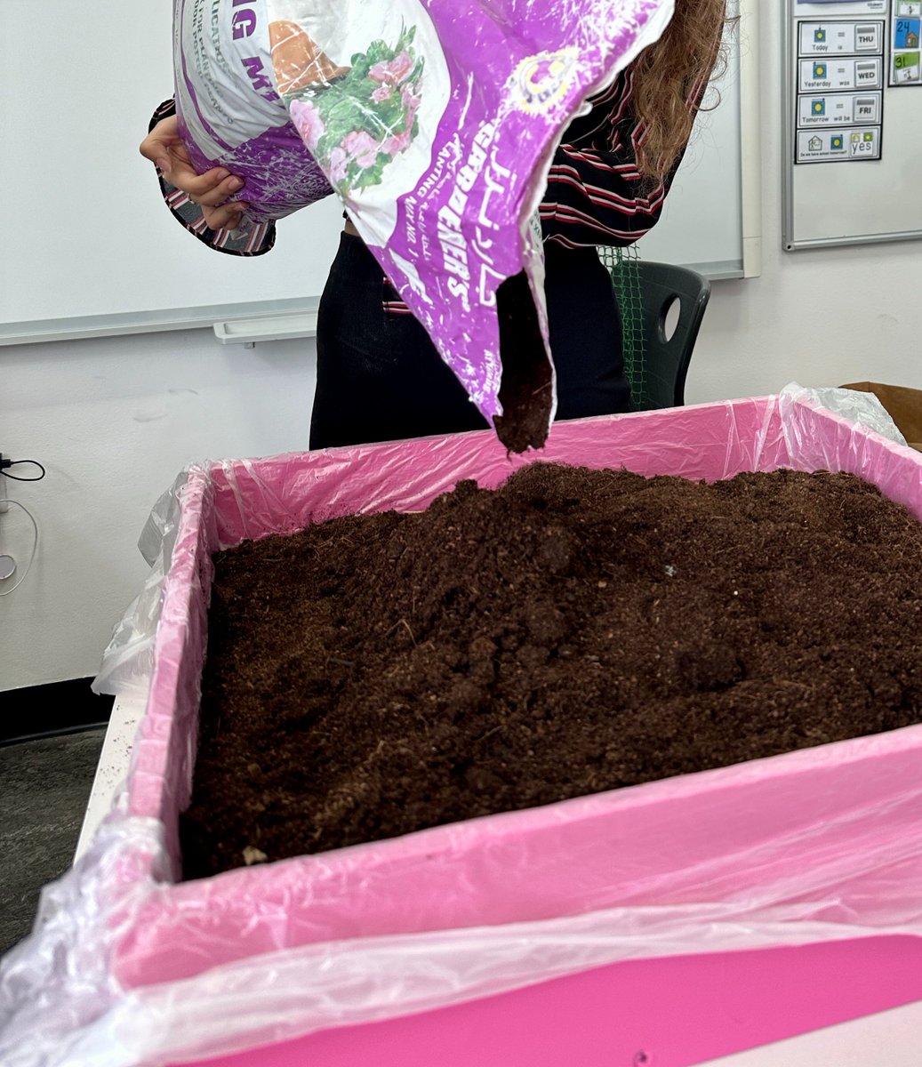 Inclusion | Dubai British School tweet media