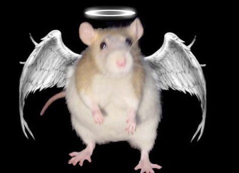 <a href="/Orianalescano16/">Geraldine</a> che son bait las cuentas de las marronas estas ? ya me salieron 7 llorándole a la rata esa