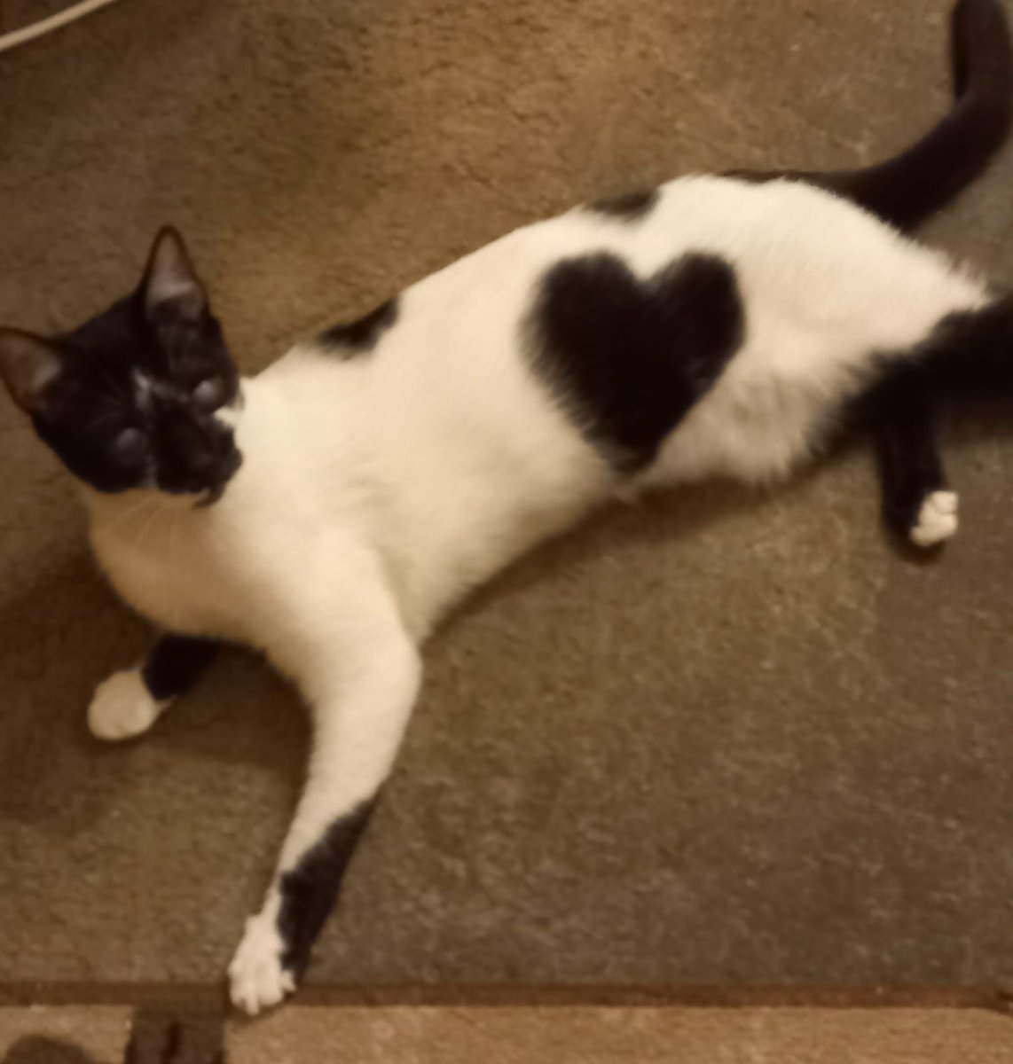 quelque chose d'amour... 😍😊😍