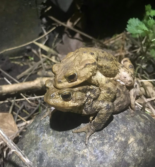 Angelina Jones tweet media