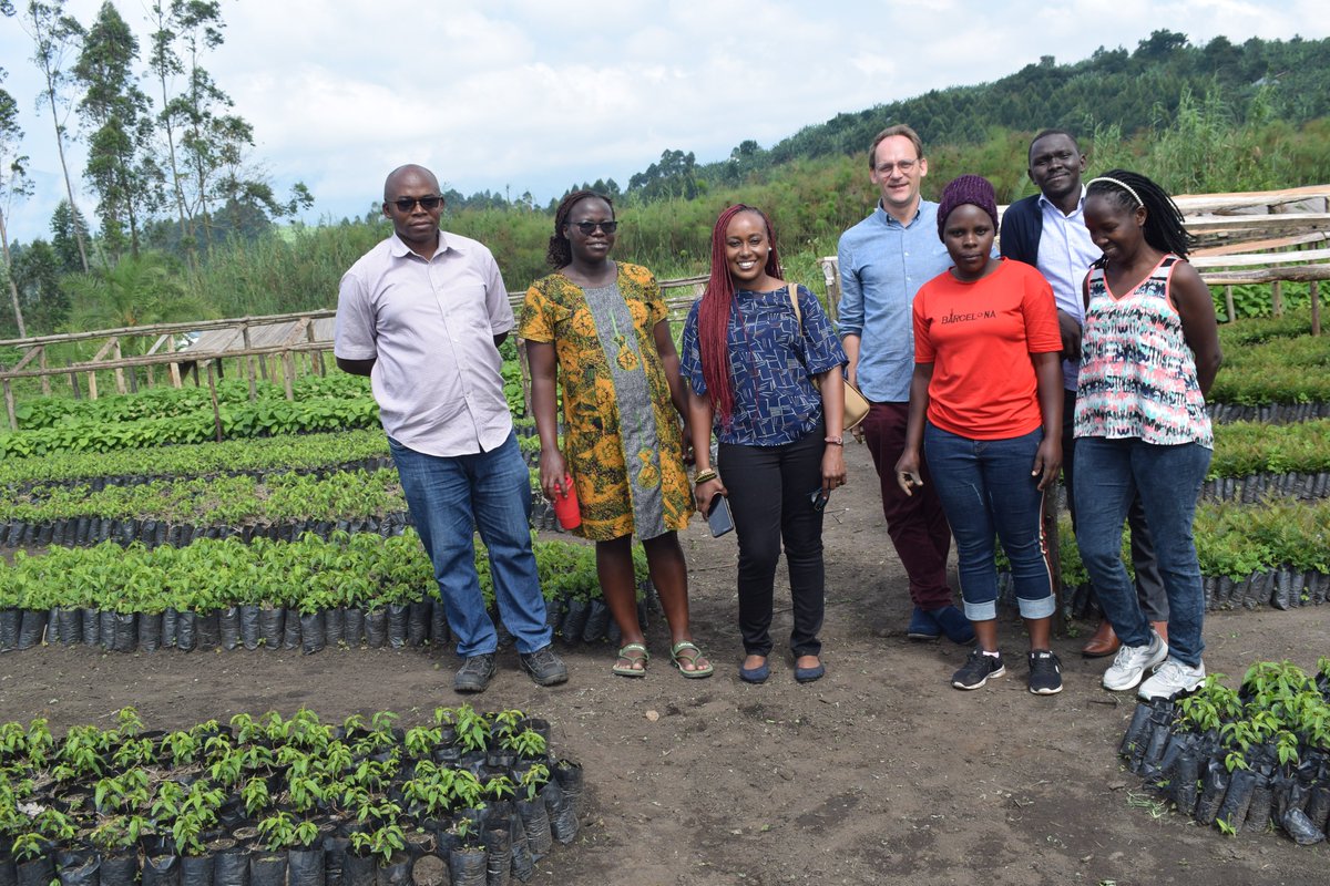 NRDIUGANDA's tweet photo. We support environmental  protection and conservation through promotion of indigenous tree species. Get more of these species from any of our Nurseries in Fort portal City#GIZ field visit at Karambi Nursery. https://t.co/K7t4ywNcdy