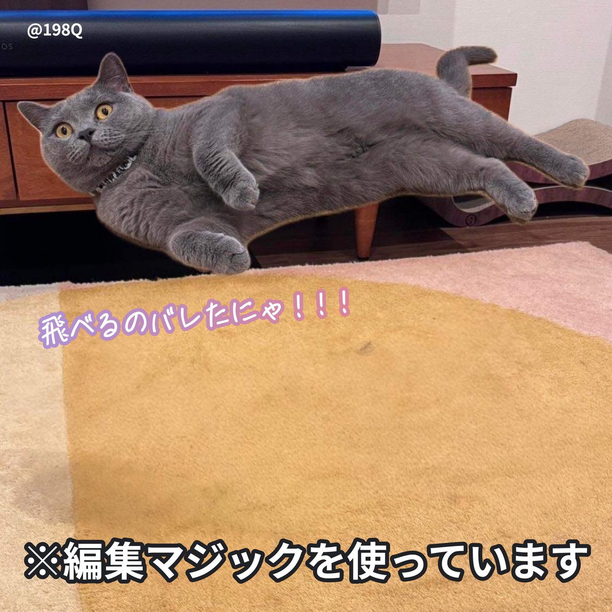 googlejapan's tweet photo. 猫も空を飛べるはず 🐈゛

#Pixelマジック大喜利 6 連発にゃ！