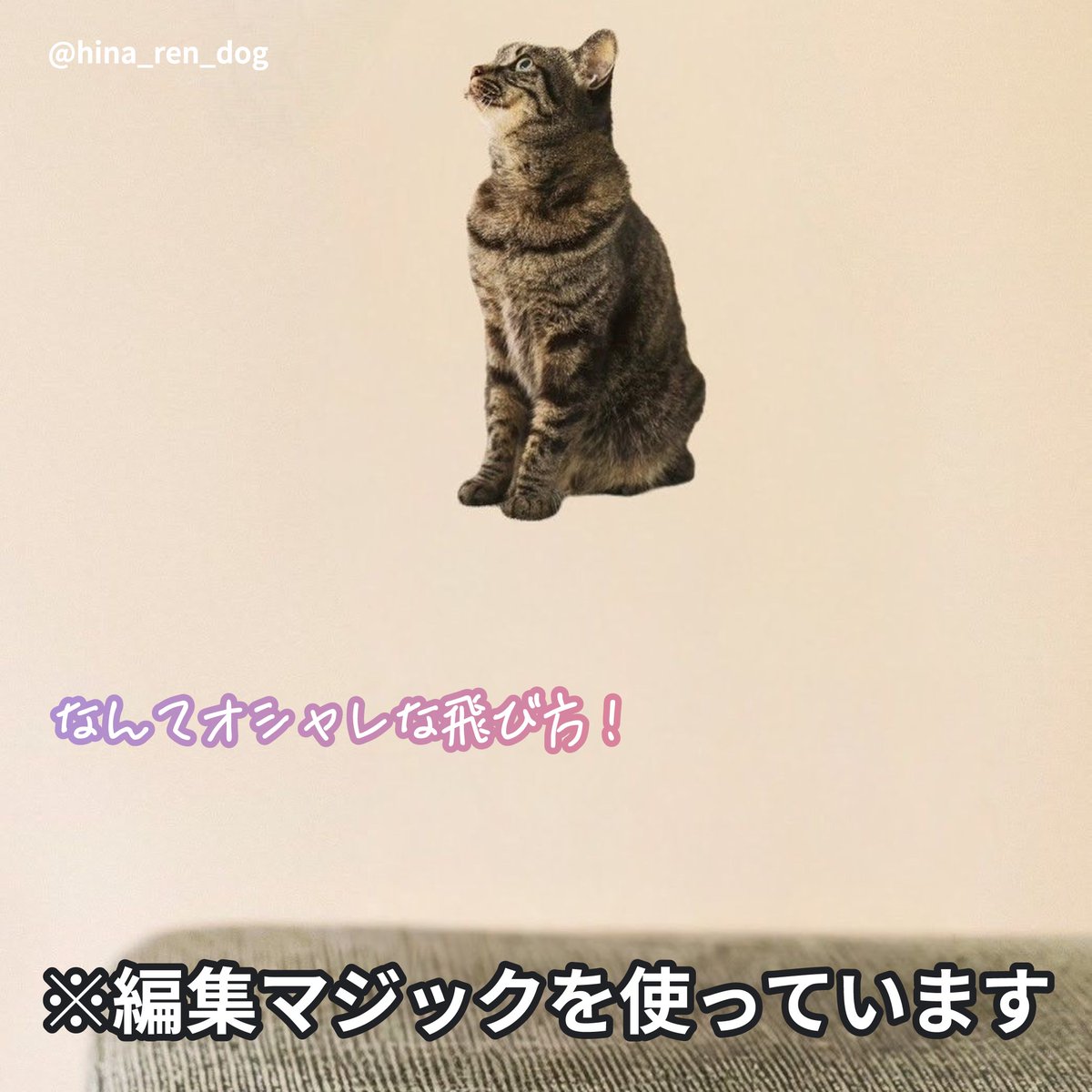 googlejapan's tweet photo. 猫も空を飛べるはず 🐈゛

#Pixelマジック大喜利 6 連発にゃ！