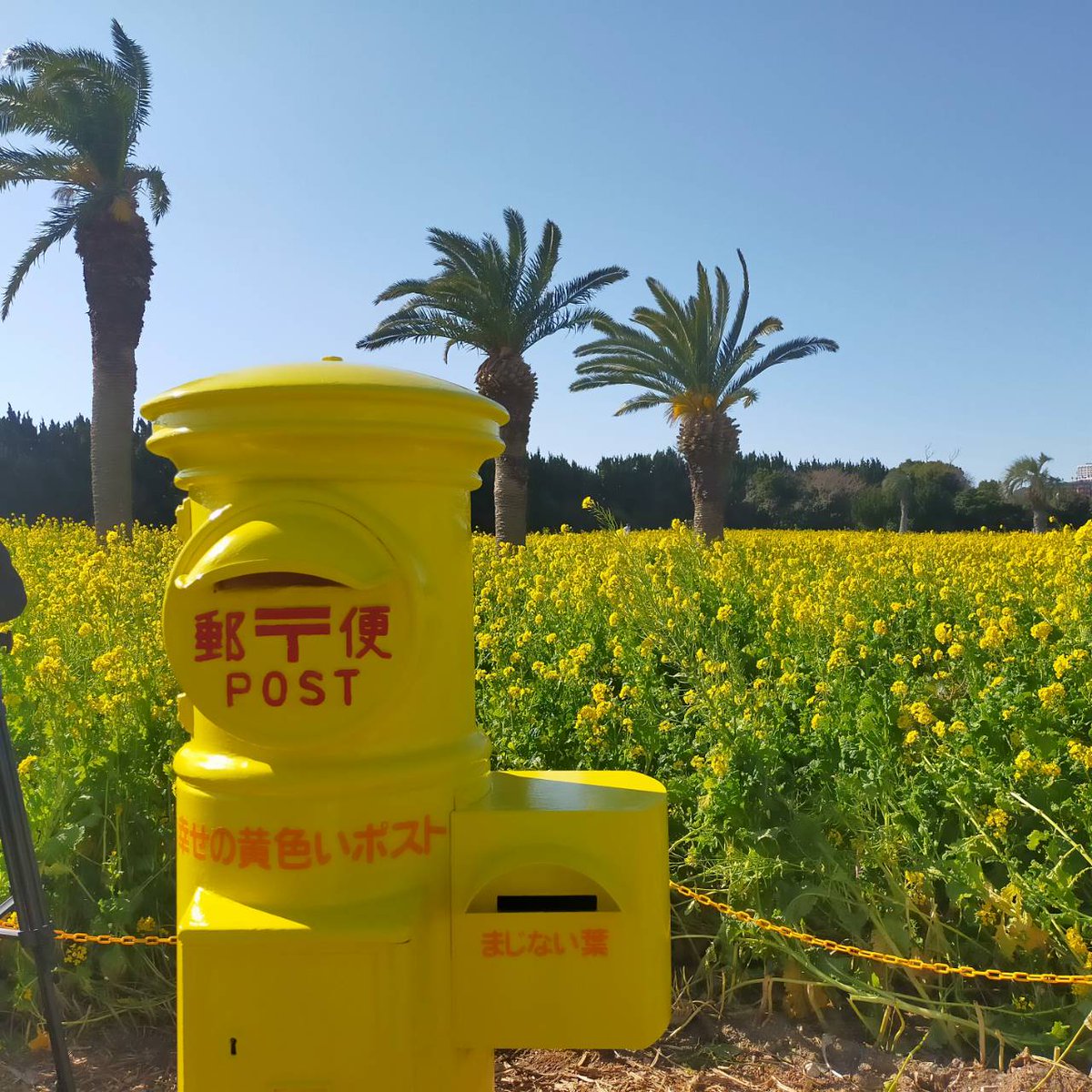 bvp6Nburg0L9JFC's tweet image. 🕒 時間がない
あなたでも大丈夫！

短時間でできる副業のおすすめをご紹介。　p6bt8.hp.peraichi.com

#時間を有効活用
#短時間副業&quot;