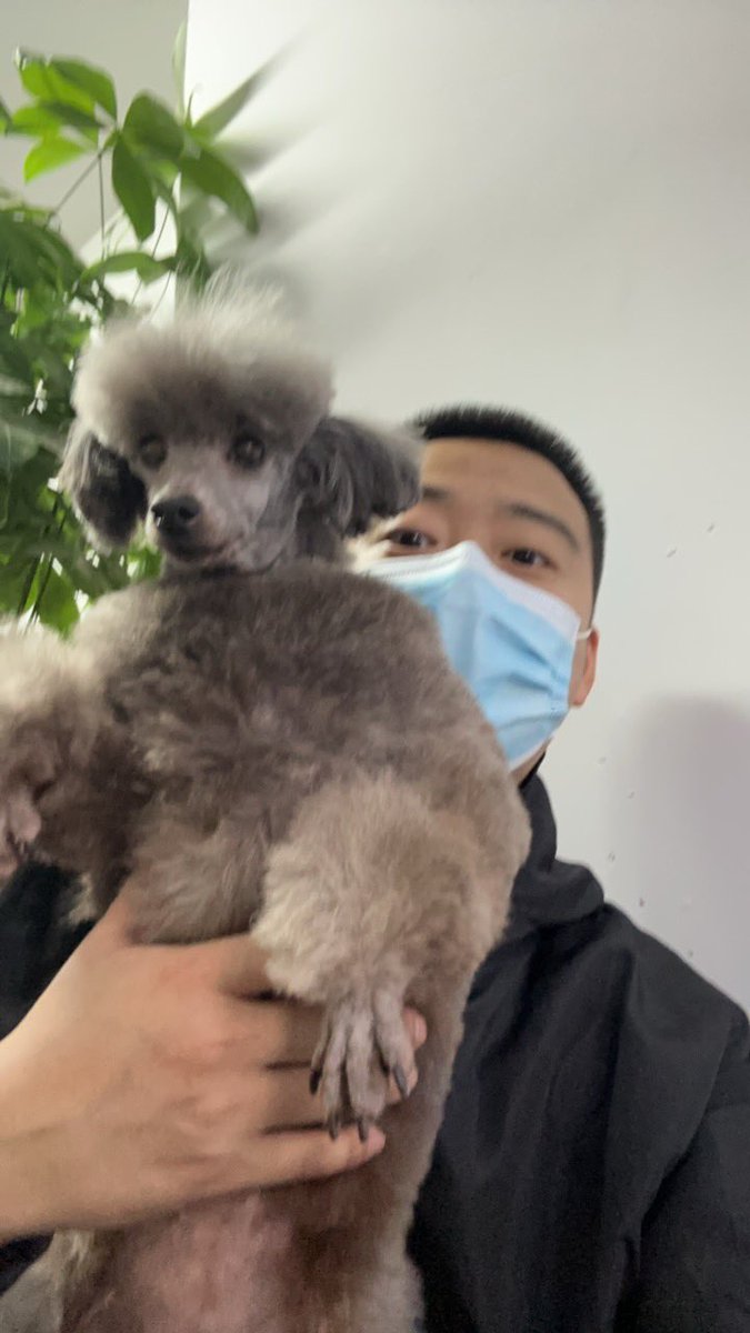 乐乐 tweet media