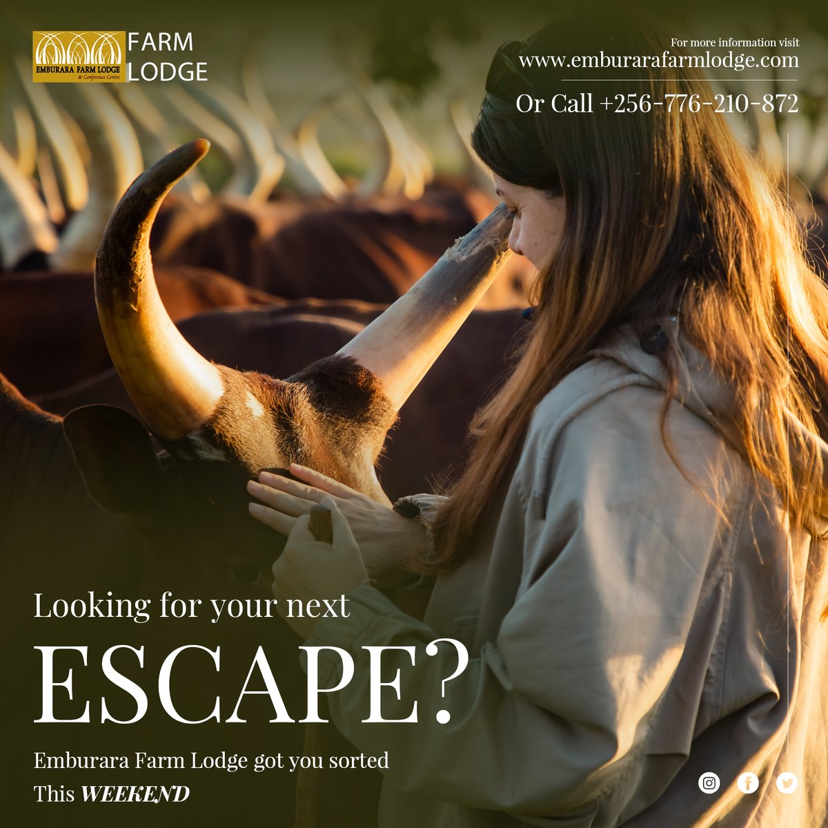 emburara's tweet image. Whether you&apos;re looking for a quiet getaway or a fun-filled family adventure, our farm lodge is the perfect place to celebrate Easter
📧 reservations@emburarafarmlodge.com
☎️ +256776210872 | +256776200080 | +256706666000
🌐 emburarafarmlodge.com
#AuthenticExperience #FarmLodge