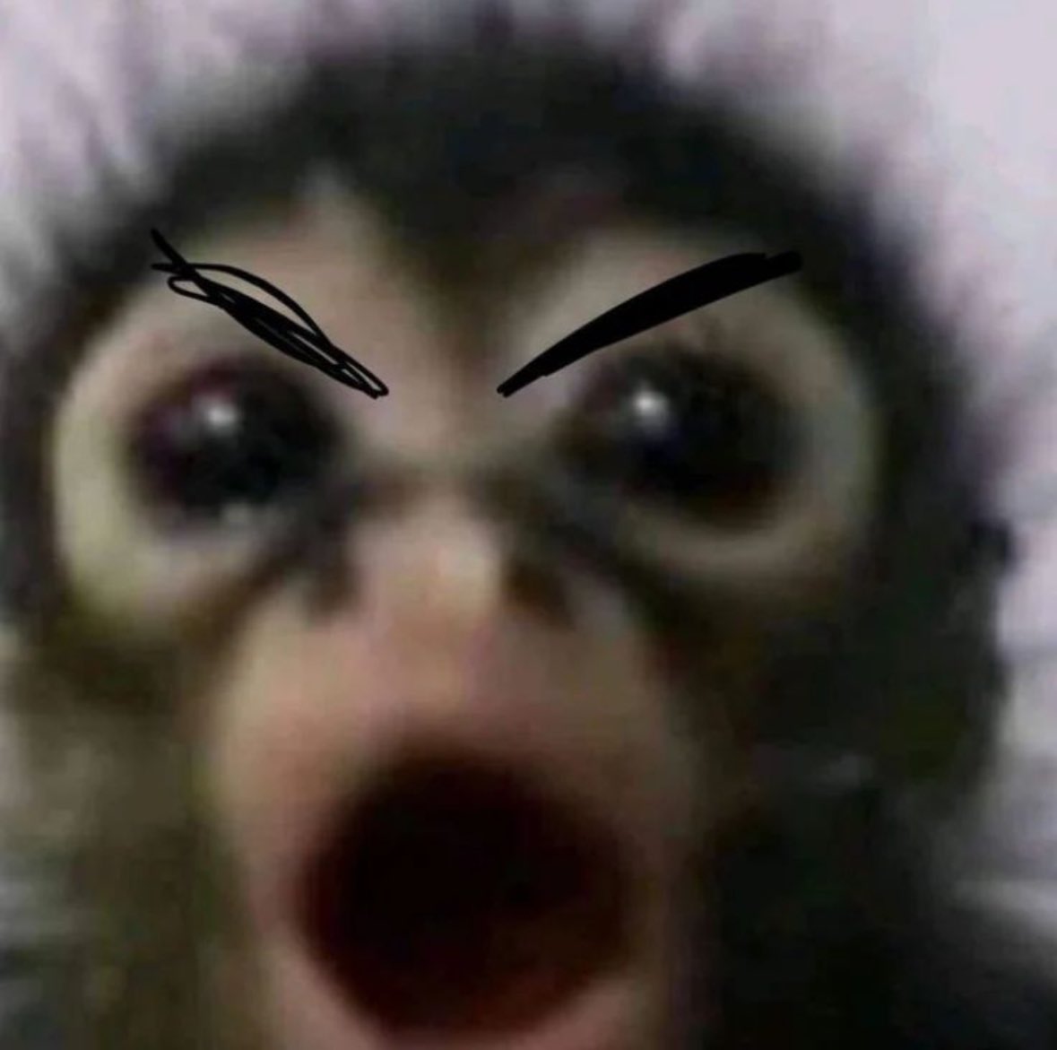 milena (@ilivetospiteyou) on Twitter photo 