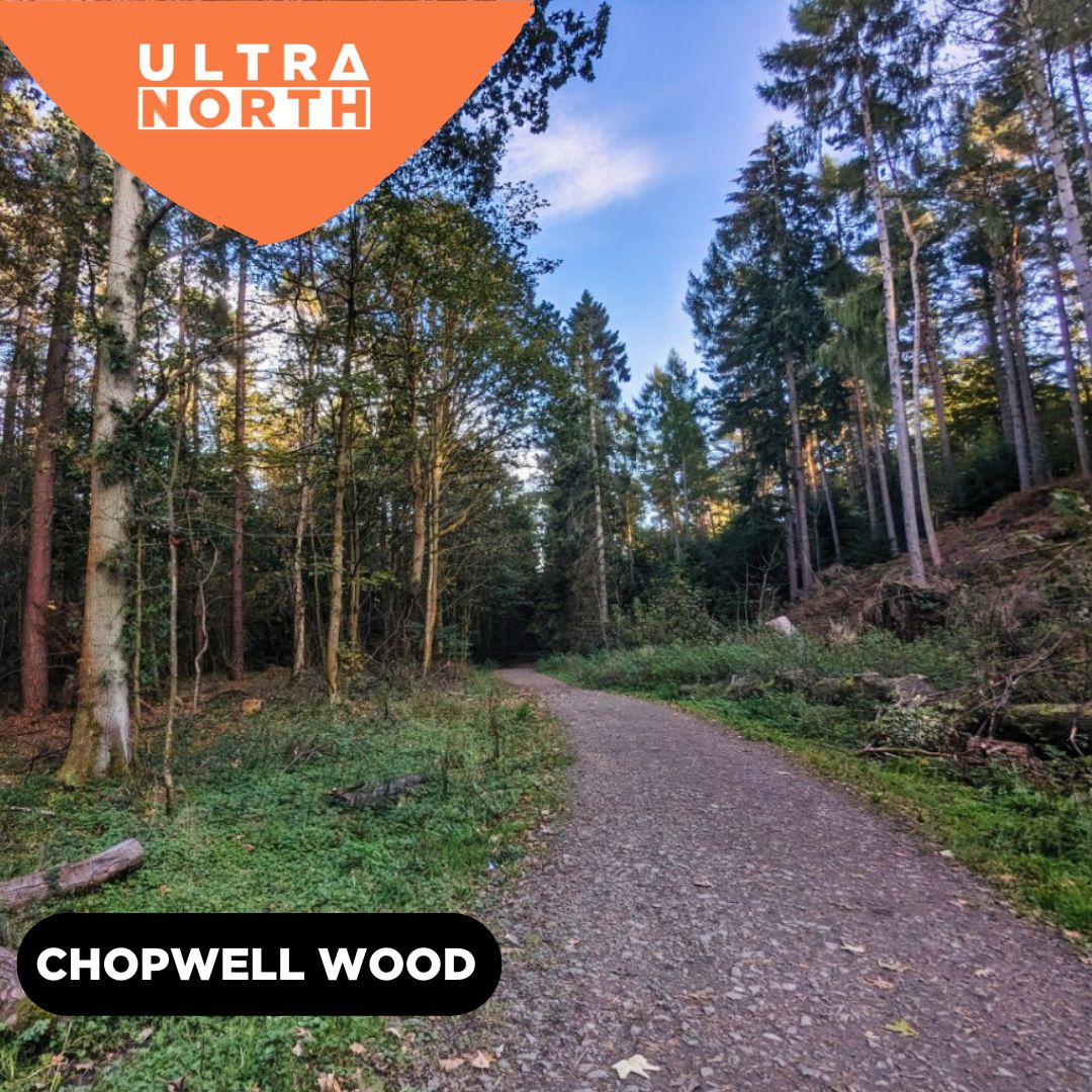 Run through Chopwell Wood at Ultra North 🏃‍♂️ 👉 A 360-hectare mixed woodland set right on the fringe of Gateshead. 👉Miles of paths for walking and cycling