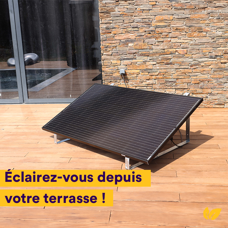 Mint 🌱 tweet media