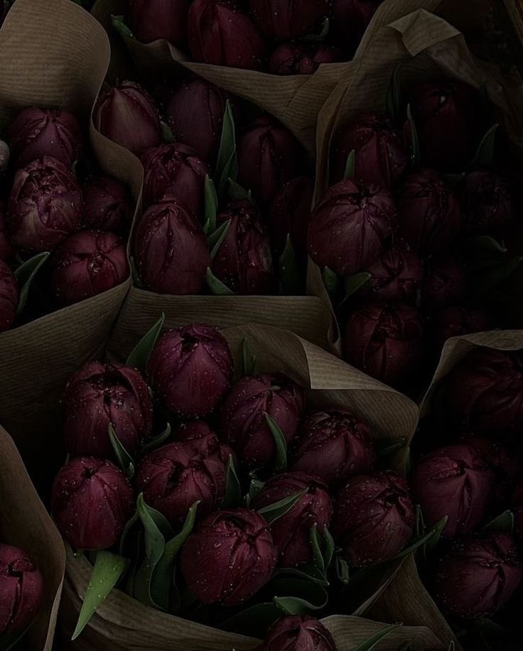 fraloi's tweet photo. ‍

            то,   как   ты   пытаешься   изгонять 
            меня,   еще   раз,   ну   пожалуйста

                    ۰.  🖇️  ݁⩨ (   𝐛𝐛𝐲 𝒢.  𝟎𝟎’𝐬 ⟡  ໒ ָ࣪ 🎧 ✦

‍ ‍ https://t.co/KY4snFrUU8
