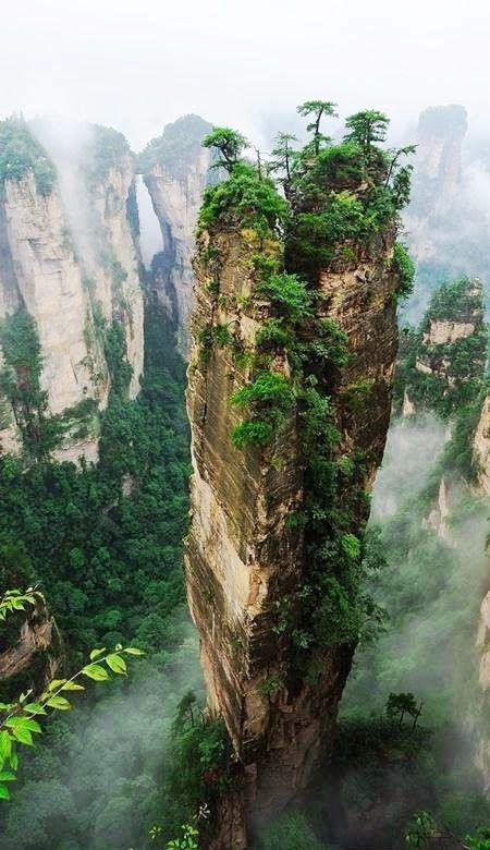 NatureInWorld24's tweet photo. ?? China
中国 https://t.co/jiX4OUepDM