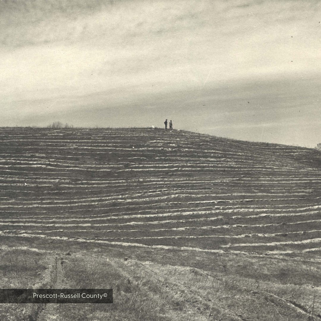 FSC_IC's tweet photo. Can you believe that just over 100 years ago, Larose Forest was a blow-sand desert? Thanks to a collaborative effort, over 18 MILLION trees have been planted making Larose one of the largest community forests in southern Ontario.

#biodiversity #larose #communityforest #FSCcertified #FSCCanada #Ottawa #sustainability #forests @FSC_Canada