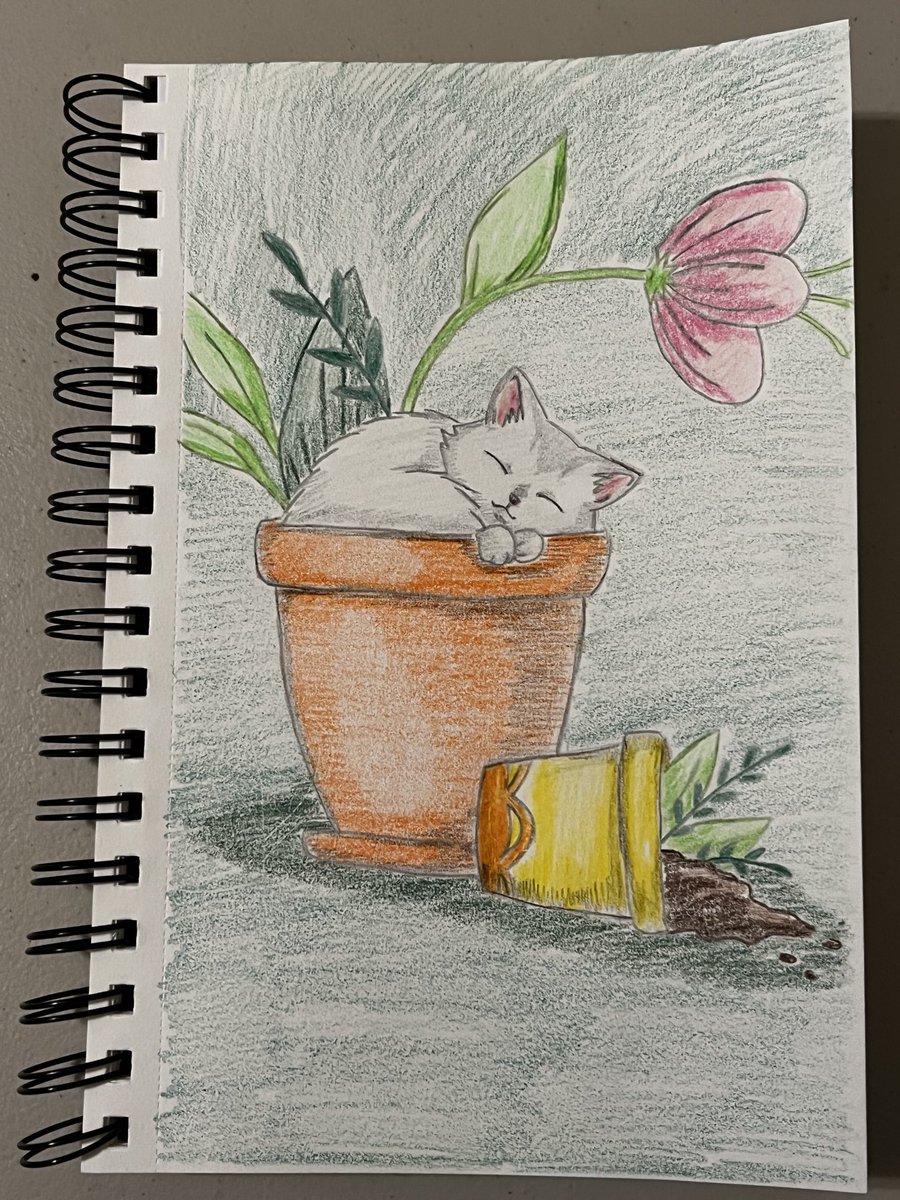 🤍🤍🤍🧡🧡💛🐱🪴🐾💕
#catdrawing #colorpencil #cute
#cutedrawing #catdrawing #socute 
#sleepinginaplanter #sleepingkitty
#kawaiidrawing #kawaiiart #dtiys 
#instagramdtiys #instagram 
#dtiyschallenge #drawwithgiadtiys