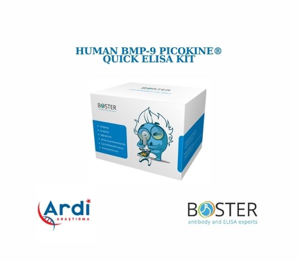 Human BMP-9 PicoKine® Quick ELISA Kit 🚀📈

⚡SKU: FEK1560
⚡Boyut: 96 wells/kit, with removable strips.
⚡Reaktif Türler: İnsan
⚡Uygulama: ELISA
⚡Örnek Türleri: kemik dokusu, hücre kültürü süpernatantları, serum plazması (heparin, EDTA) ve idrar
⚡Test Süresi: 90 Dakika