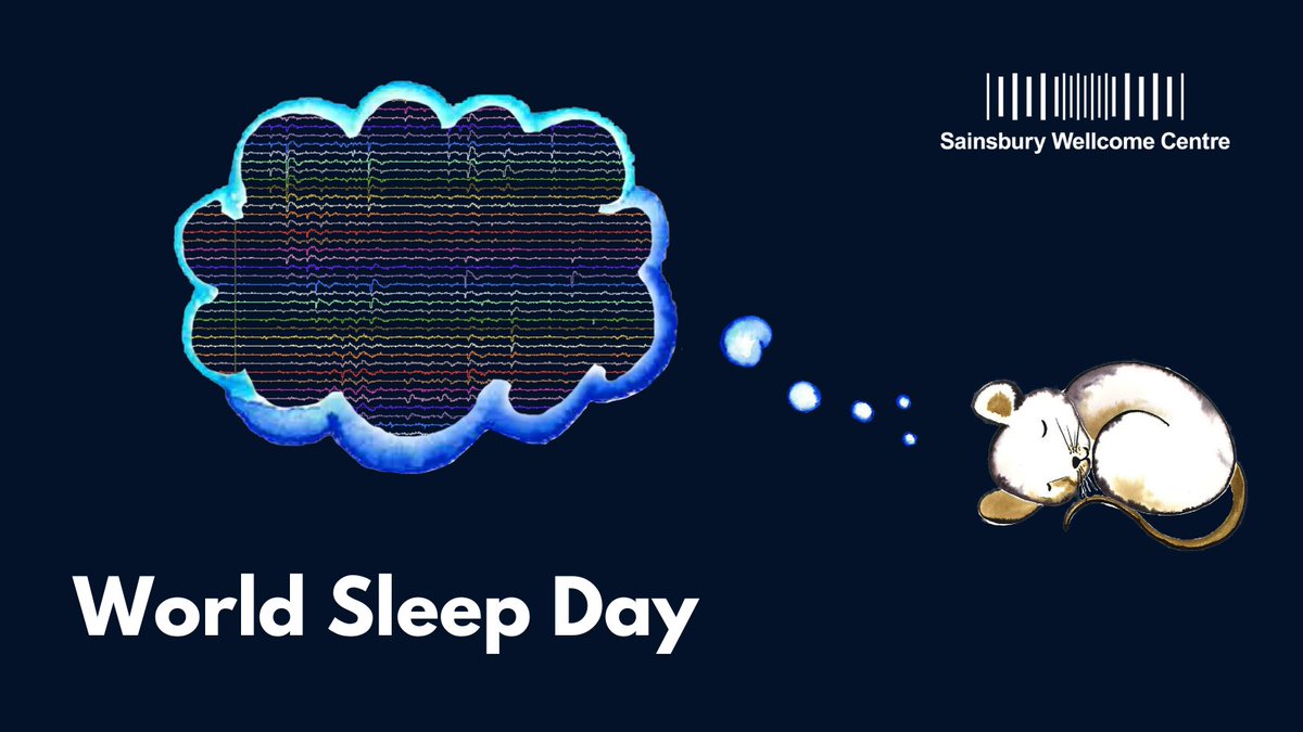 This #WorldSleepDay we’re celebrating the opening of Dr @JuliaJadeHarris’ new sleep lab at SWC! Listen to Julia’s @BBC6Music interview with @LaurenLaverne to hear more about her research: bbc.co.uk/programmes/m00…(from 08:34)