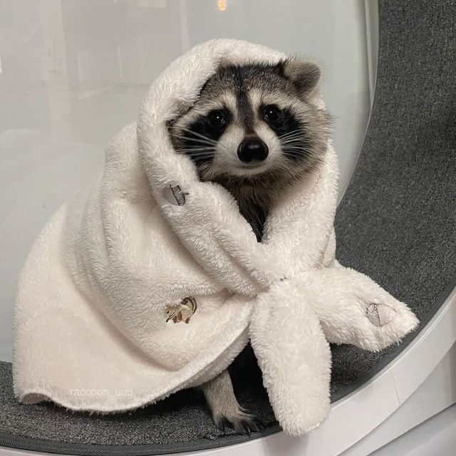 cleisiau's tweet photo. this is who ur hurting when u hurt me :( https://t.co/bGjKqfQ8UF