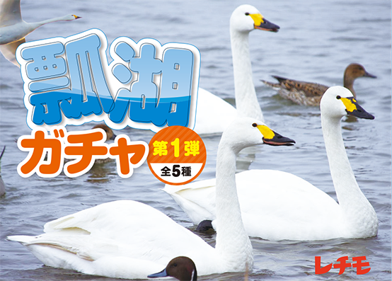 rechimo_2023's tweet photo. 【コラボ企画❗️】
白鳥の飛来地として有名な阿賀野市の #瓢湖 さんの #瓢湖ガチャ がはじまります！

第１弾、第２弾、第３弾までのシリーズ企画です😆

第1弾、発売まであともう少し♪

#瓢湖ガチャ は、瓢湖白鳥観察舎さんに出現します！

#阿賀野市 #新潟 #白鳥 #瓢湖しか勝たん #瓢湖ガチャ https://t.co/KOR3lhtfG1