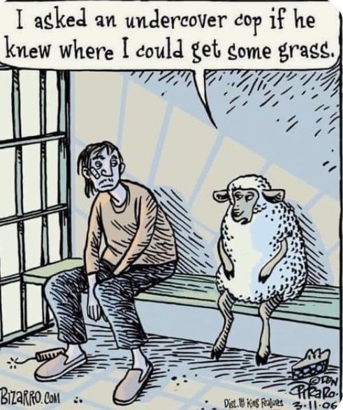 Sam  Sweiry tweet media