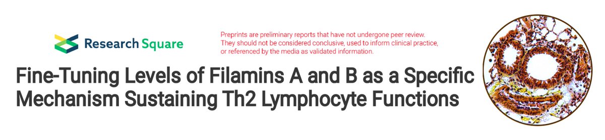 PierreGLutz's tweet photo. Puzzled about targeting ubiquitin enzymes to mitigate type 2 immune responses?
Open science: Check out our preprint now live at https://t.co/ONSA8lCLtm
@ILamsoul &amp; @PierreGLutz, #Ubiquitin #Enzymes in #Immunity &amp; #Disease, @InfinityTLS https://t.co/RH3nsjkmN5