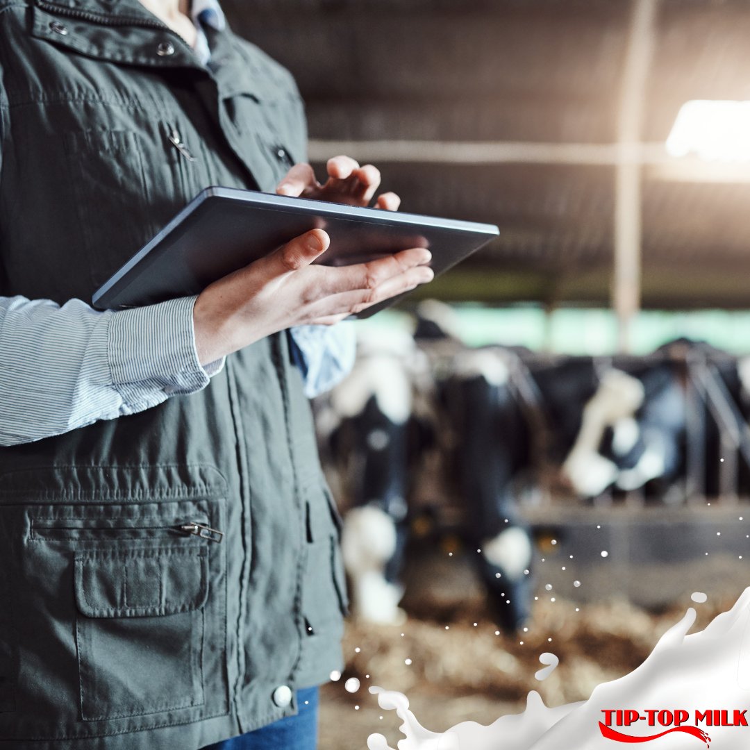 #Data plays a crucial role in advancing #dairyfarming practices. Read page 59 of the @MilkMPO’s #DairyMail to discover how #dataanalysis enables proactive planning and strategic decision-making on #dairyfarms here: bit.ly/3UUMHnG