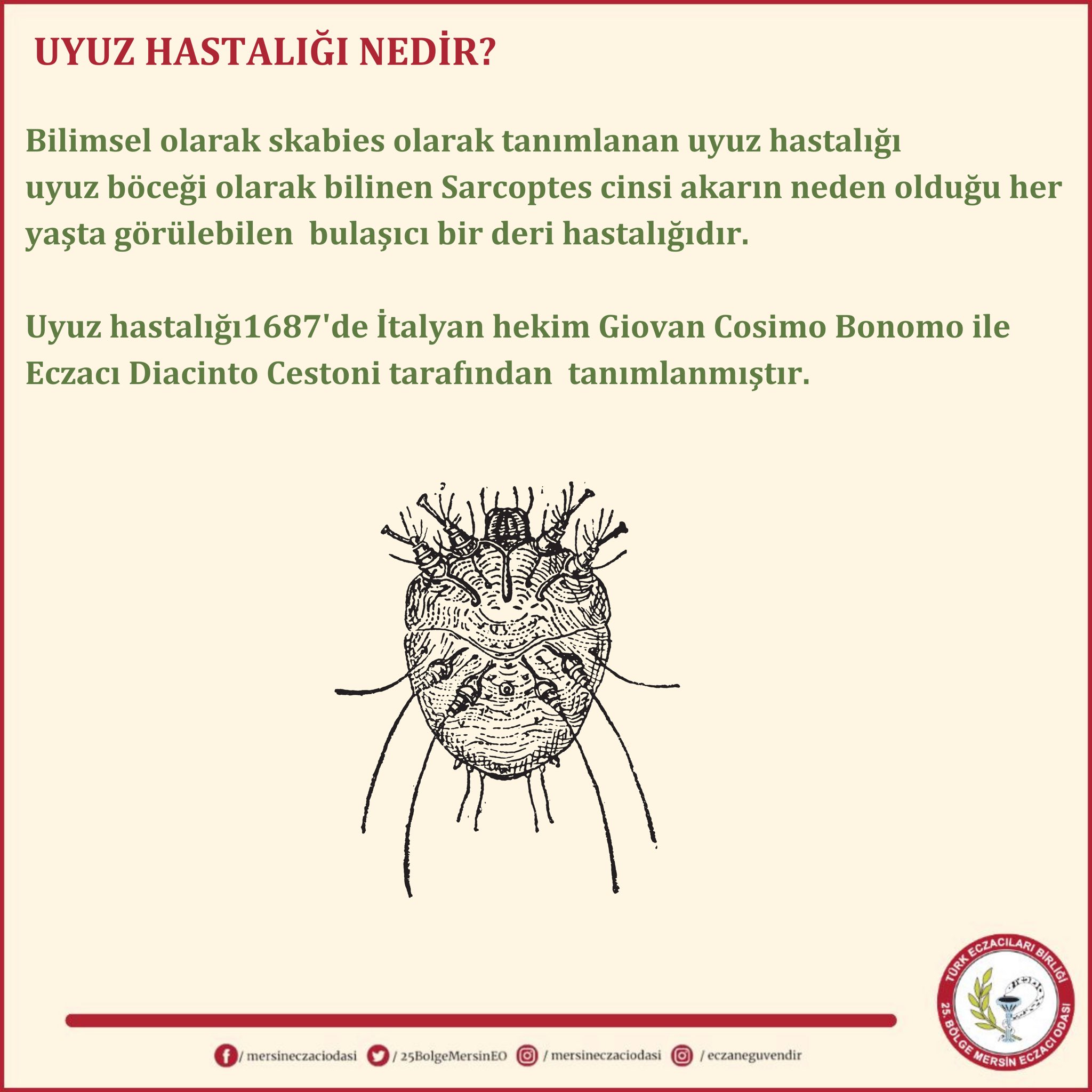 Resim