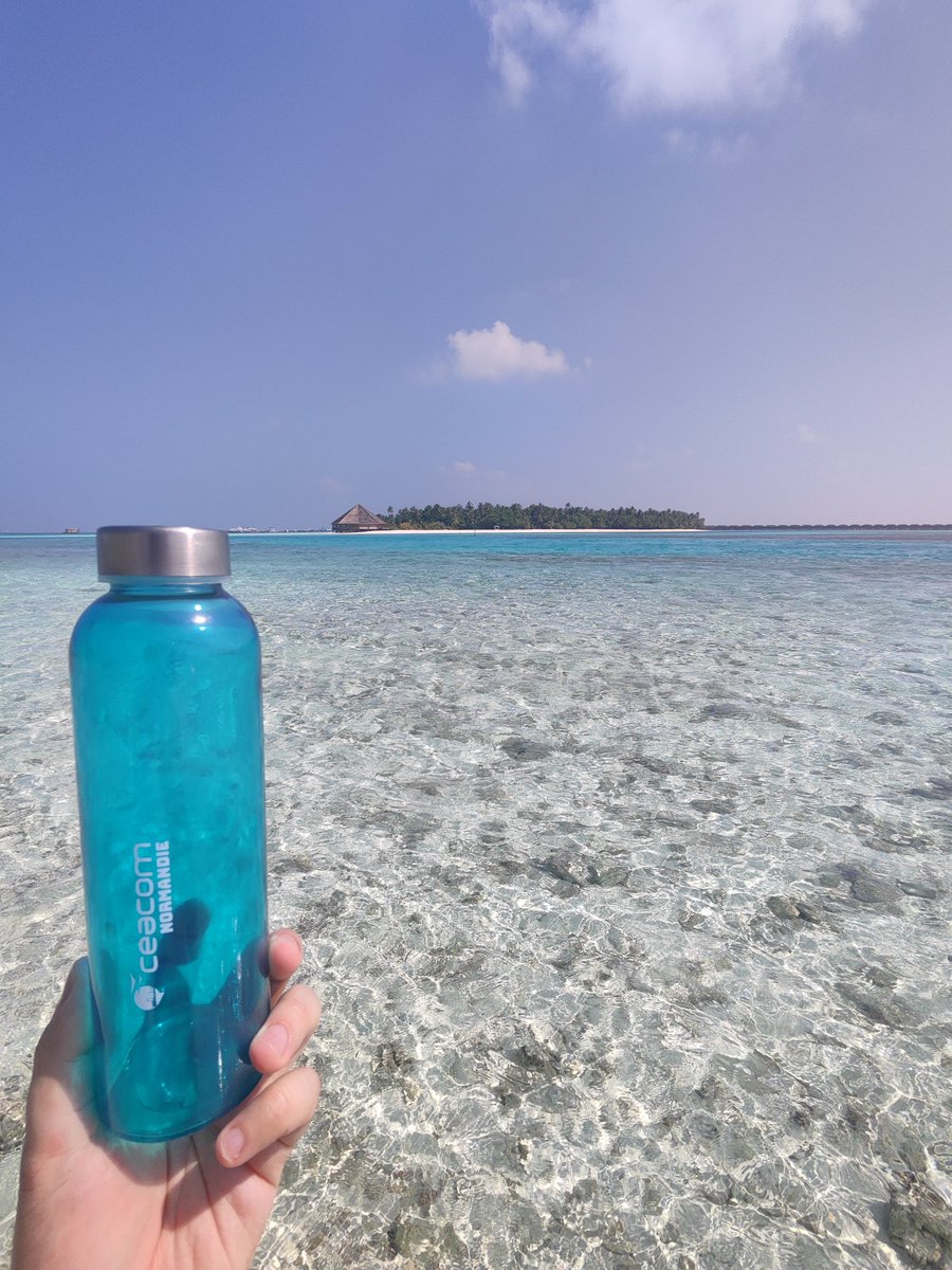 CeacomLeHavre's tweet photo. 📍DE PASSAGE AUX MALDIVES 🤩

Notre gourde collector #CeacomNormandie s'est envolée vers les magnifiques plages des Maldives🏝️

Un petit bout de paradis bien mérité pour notre fidèle partenaire de voyage !🧳

#VisitMaldives @visitmaldives https://t.co/g4FXi7u4jw