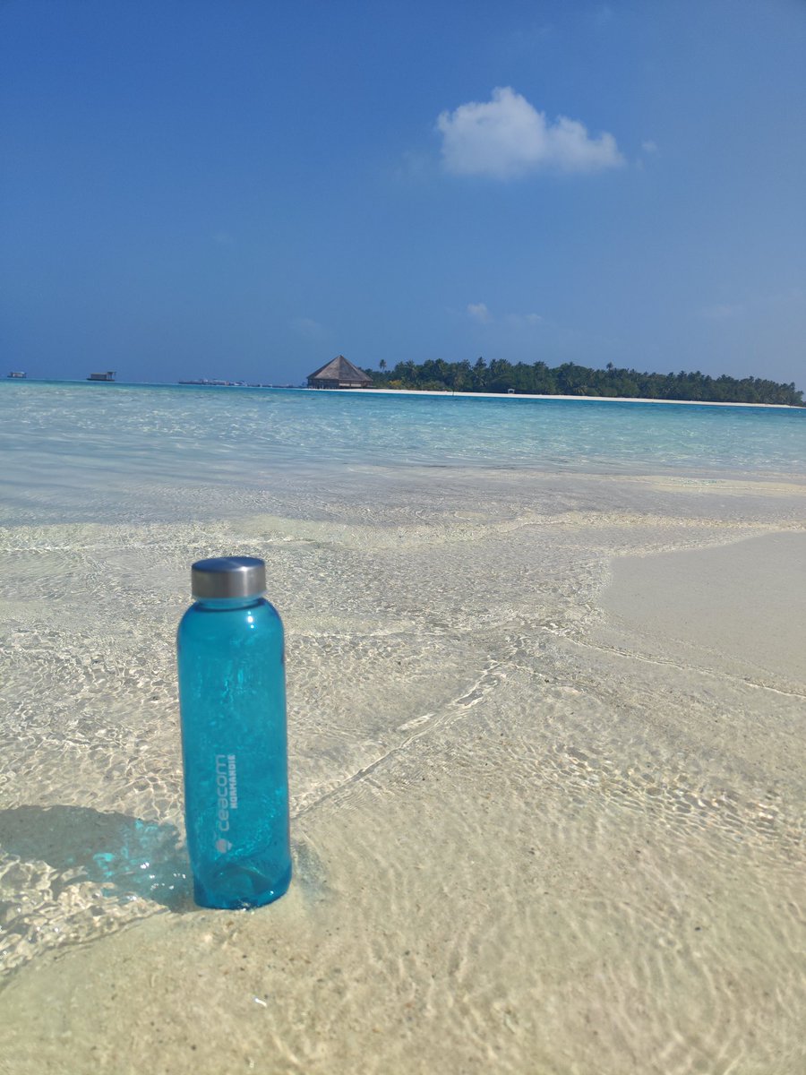 CeacomLeHavre's tweet photo. 📍DE PASSAGE AUX MALDIVES 🤩

Notre gourde collector #CeacomNormandie s'est envolée vers les magnifiques plages des Maldives🏝️

Un petit bout de paradis bien mérité pour notre fidèle partenaire de voyage !🧳

#VisitMaldives @visitmaldives https://t.co/g4FXi7u4jw