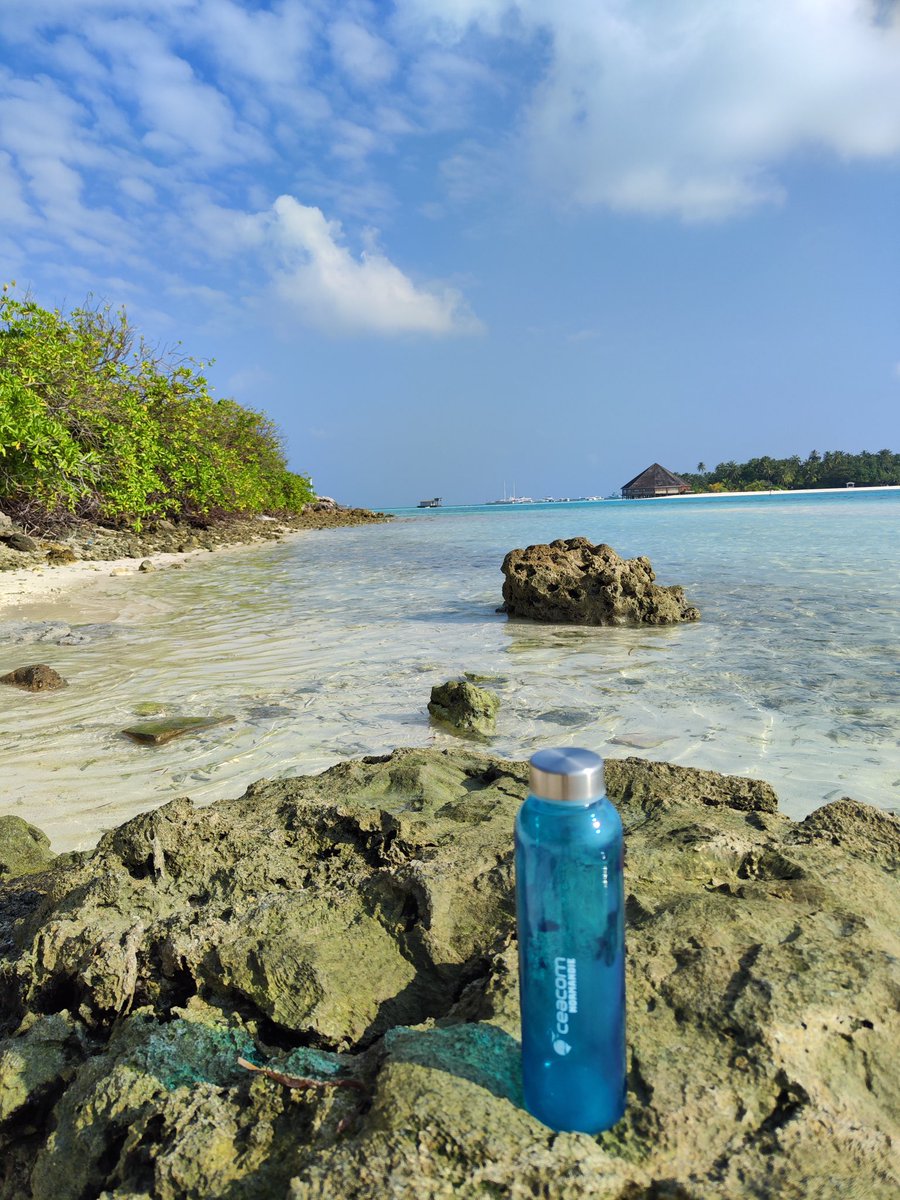 CeacomLeHavre's tweet photo. 📍DE PASSAGE AUX MALDIVES 🤩

Notre gourde collector #CeacomNormandie s'est envolée vers les magnifiques plages des Maldives🏝️

Un petit bout de paradis bien mérité pour notre fidèle partenaire de voyage !🧳

#VisitMaldives @visitmaldives https://t.co/g4FXi7u4jw